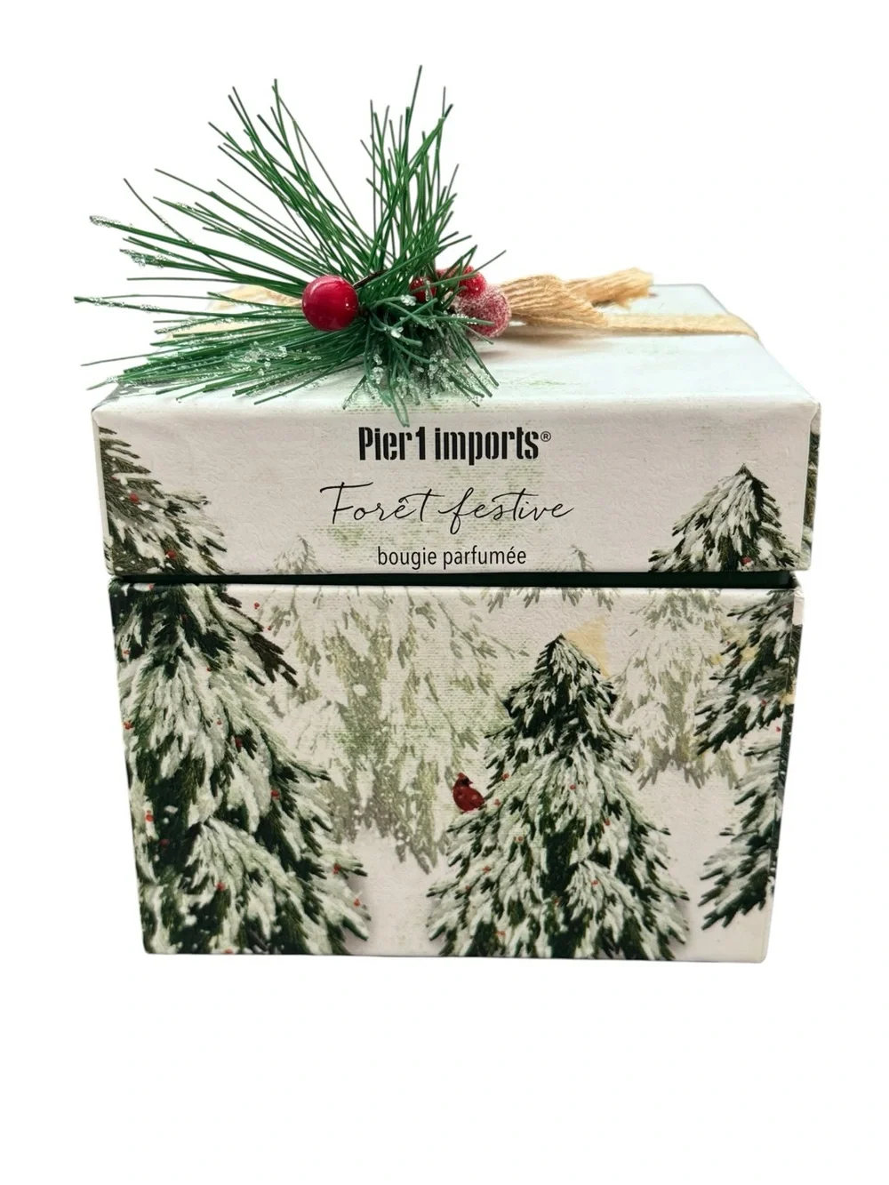 Pier 1 Imports Holiday Forest 2 Wick Scented Christmas Candle 11oz NEW In Box